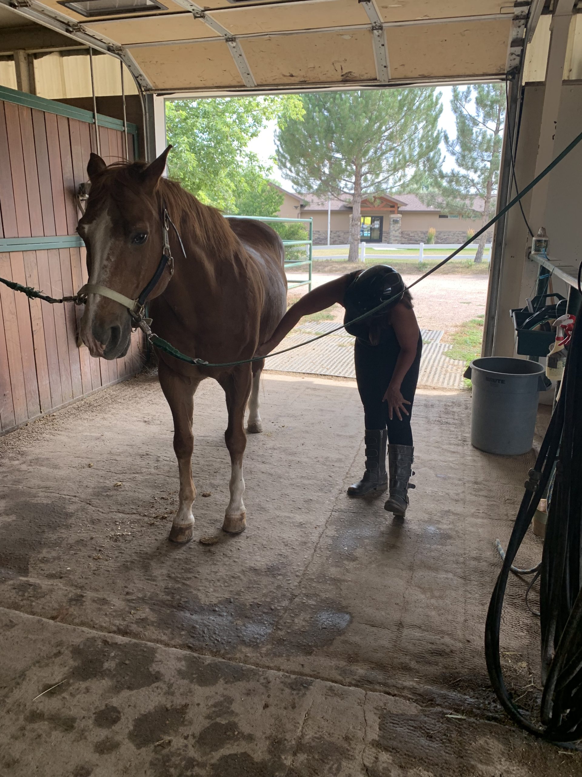 When Animals Are Around Pay Attention